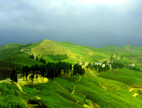 Illam 